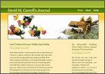 Visit David M Carroll's Personal Journal