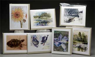 Carroll Studio Note Cards