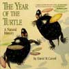 Year of the Turtle